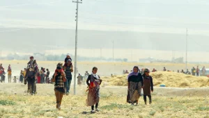 Fermandan yeni bir varlık tarihine