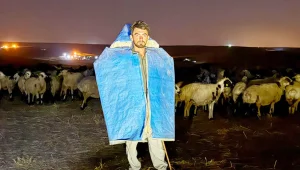 Koçerlerin otlağı artık paralı
