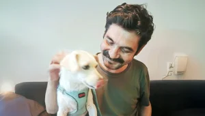 Şehrin köpekleri geri döner mi?