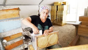 Balın ötesi...