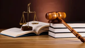 Hukuk; sınır mı, araç mı?