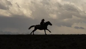 Kalanların dili
