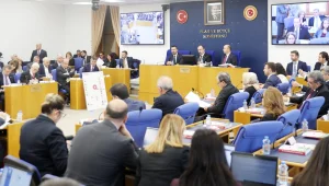 Organize vurgun, bürokratik çürüme