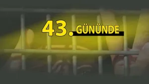 Devlet adım atmalı