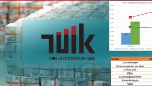 TÜİK sanal iş başı yaptırdı
