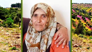 Nilovna'dan Elif Ana'ya
