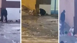 Yoksulluğun fotoğrafı