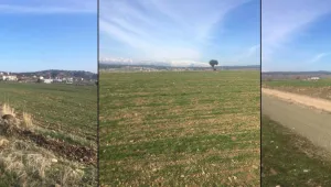 Maraş’ta Kürtlerin toprakları gasp ediliyor
