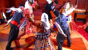 Nüfus sayımında Alevi yazın!