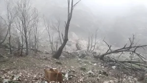 Garê’den Siyanê’ye coğrafya ve direniş