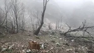 Gerilla kazandı gerilla kazandırıyor