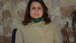 Üniversiteler arası anlaşma