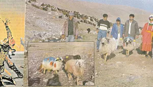 Kürdistan köylerinde seyirlik oyunlar