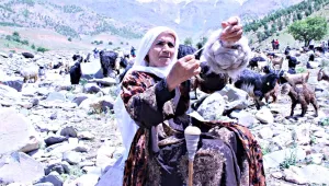 ‘Teşî’yi yaşatmak bizim elimizde’