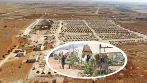 Efrîn işgali ve süren devrim