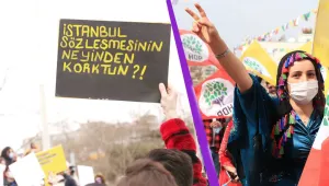 Çıplak gerçeğe karşı