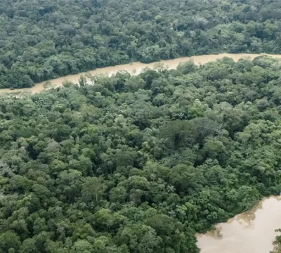 Amazon, hipertropikal iklime sürükleniyor