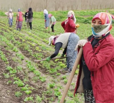Hevsel Bahçeleri’nde çapa mesaisi