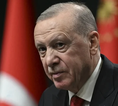 Türkiye'nin hamaseti ve sınırları