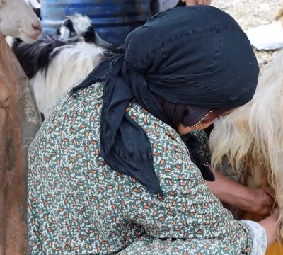 Koçerler gerilla ile güvende