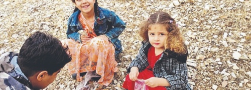 Li Ciwanro tovên berûyê tên çandin