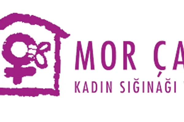 ‘Kadına şiddette sürekliliği görmeliyiz’