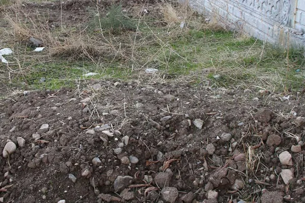 Siirt’te 200 cenaze tutuluyor