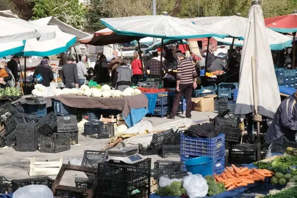Bizlere taş kemirmek hak görüldü 