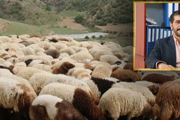 Yayla yasağı başlıyor