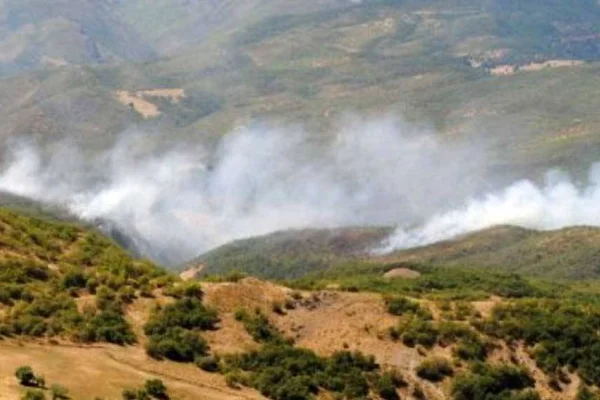 Hozat’ta orman yakıldı