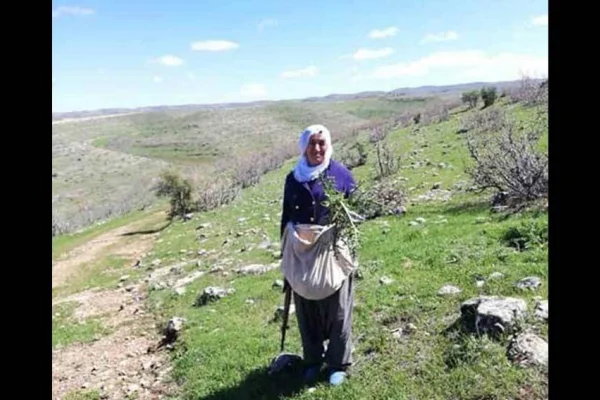 72 yaşındaki kadın gözaltında