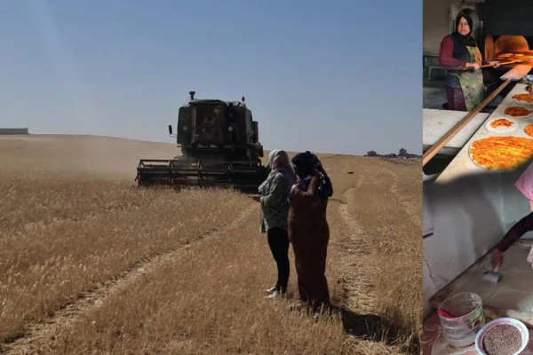 Kadınların yönettiği bir dünya