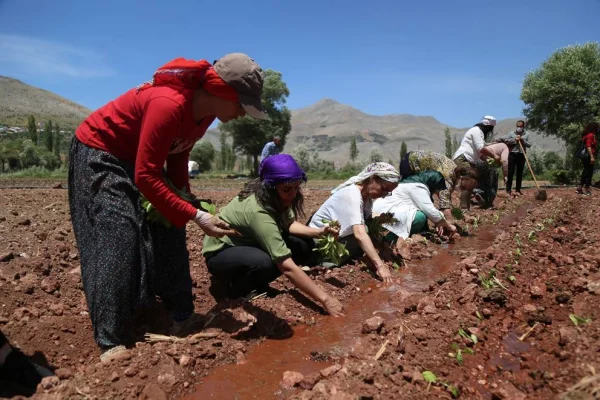 HDP’li kadınlar Semsûr'da