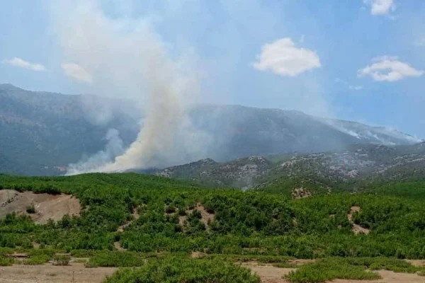 Dicle’deki yangına müdahale edilmiyor
