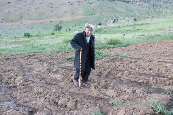 Kato’da 30 yıl sonra ekim