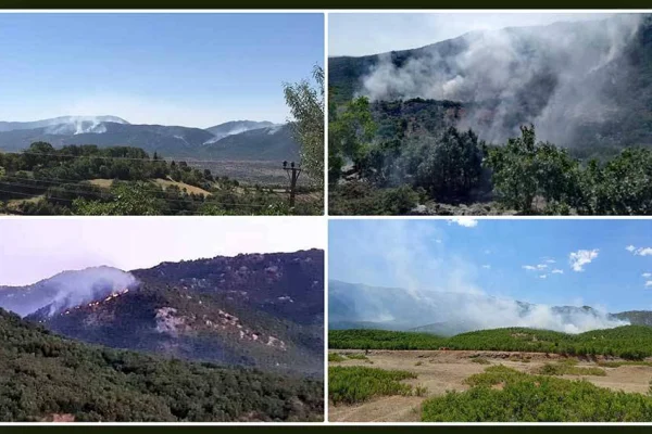 Dicle’deki yangın Elazığ sınırına ulaştı