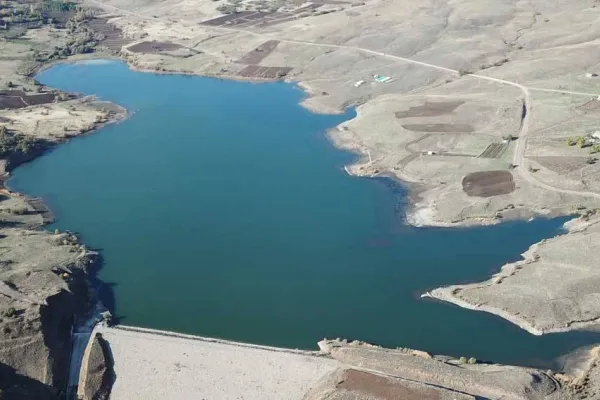 Kacarlar yaşam alanı bırakmadı 