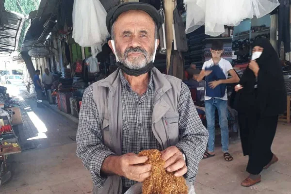 Adıyaman’da tütüncülere gözaltı