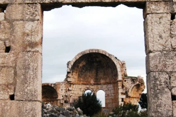 Define avcılığı, soykırımın yan ürünü