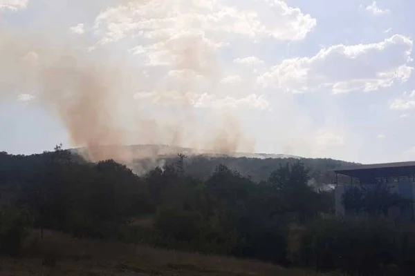 Lice’de yangın ilerliyor