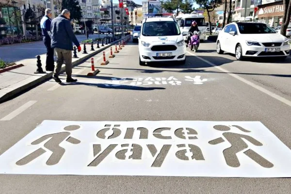 Kayyum Kürtçeyi sildi
