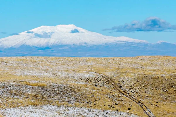 Dokunmak yeniden çocukluğuma 
