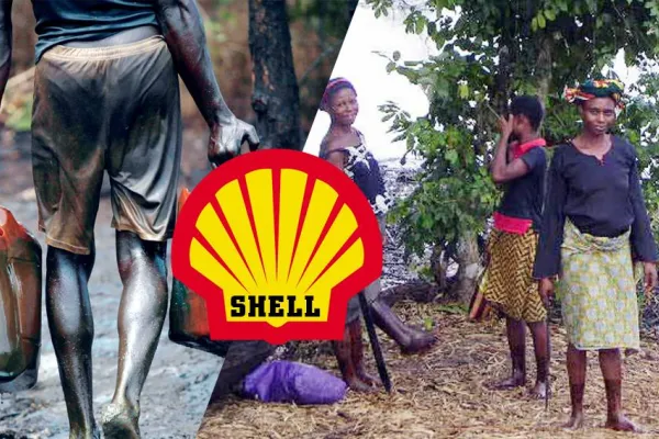 Shell, tazminat değil hesap vermeli