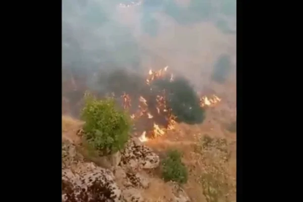 Yaktılar, müdahale etmiyorlar