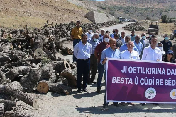 Ağaç kıyımı protesto edildi