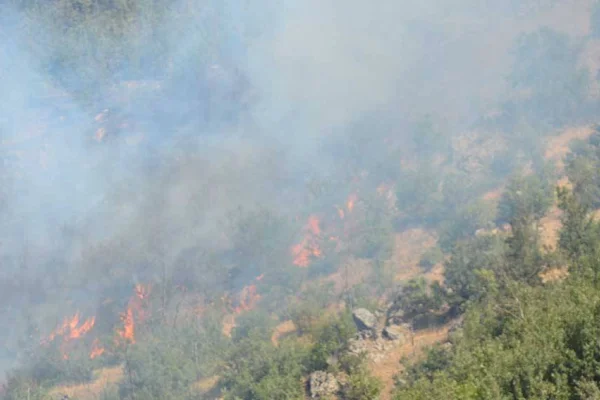 Şırnak’ta dört ayda 21 orman yangını