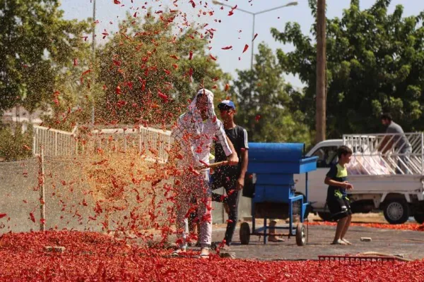 İsot hak ettiği değeri görmüyor