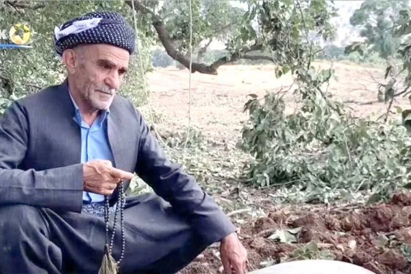 Bir fotoğraf, bir tarih ve toplumsal gerçeklik