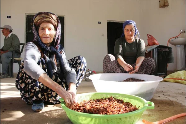 Pestiller yapıldı, turşular kuruldu