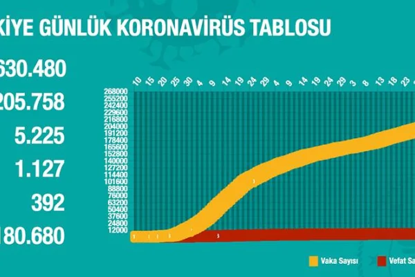 Korona 7 kentte artıyor